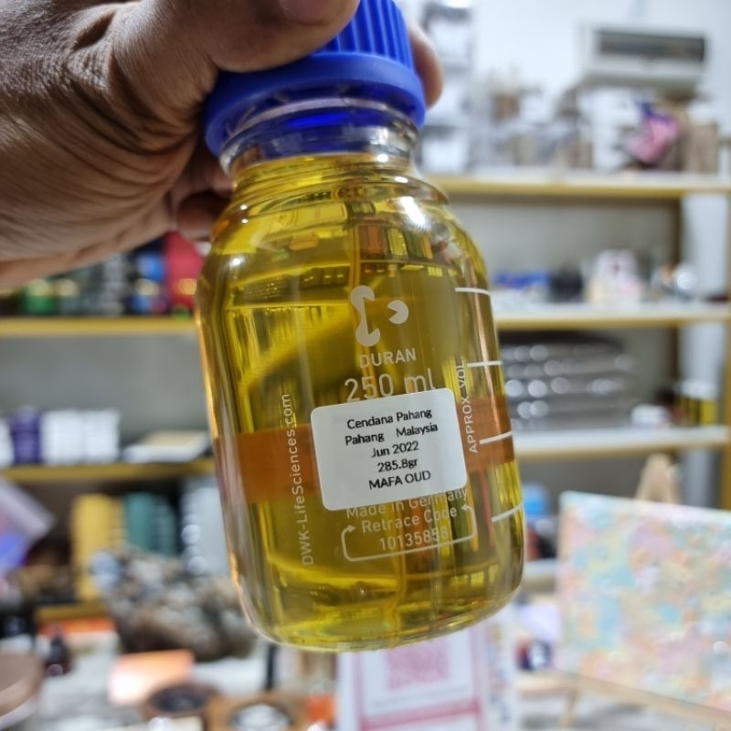 my-11134207-7r98u-ll7nwxtqtizx31