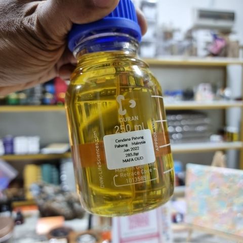 my-11134207-7r98u-ll7nwxtqtizx31