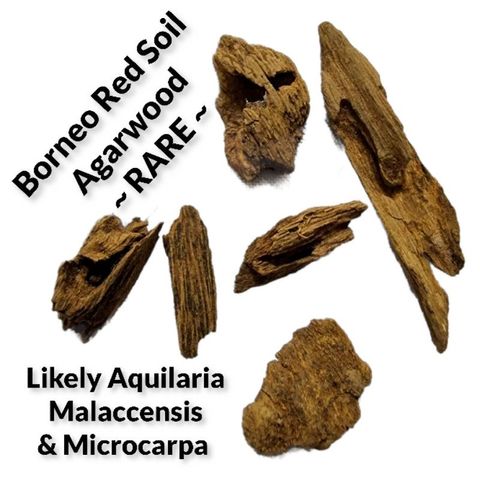 32e1f1e8f92d28938dfe216c17ce2fe4