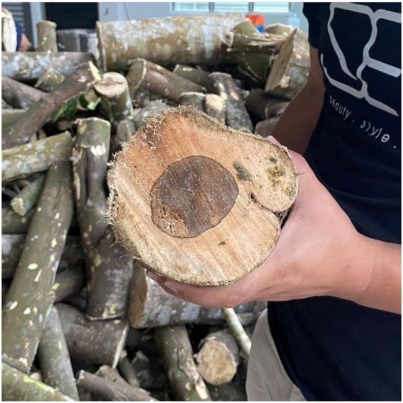 ea393f7a1774409ec6a525f5d842e592