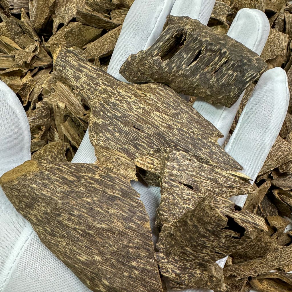 IMG_1422-1721914507338