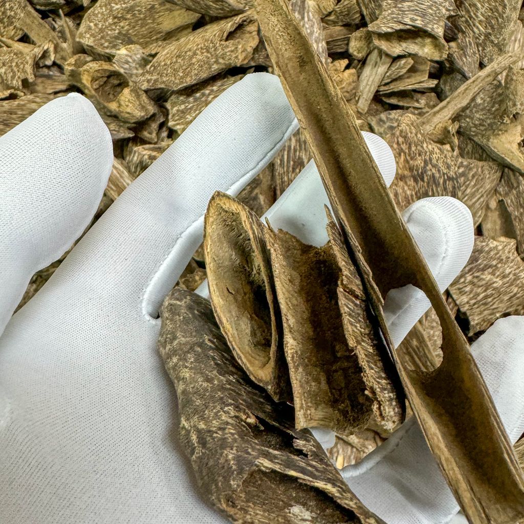 IMG_1423-1721914507344