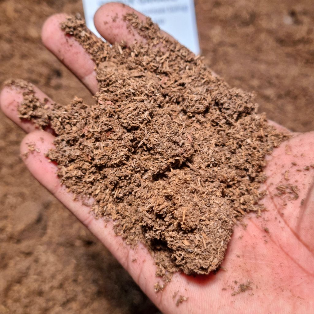 20240502_163903-1724404595466