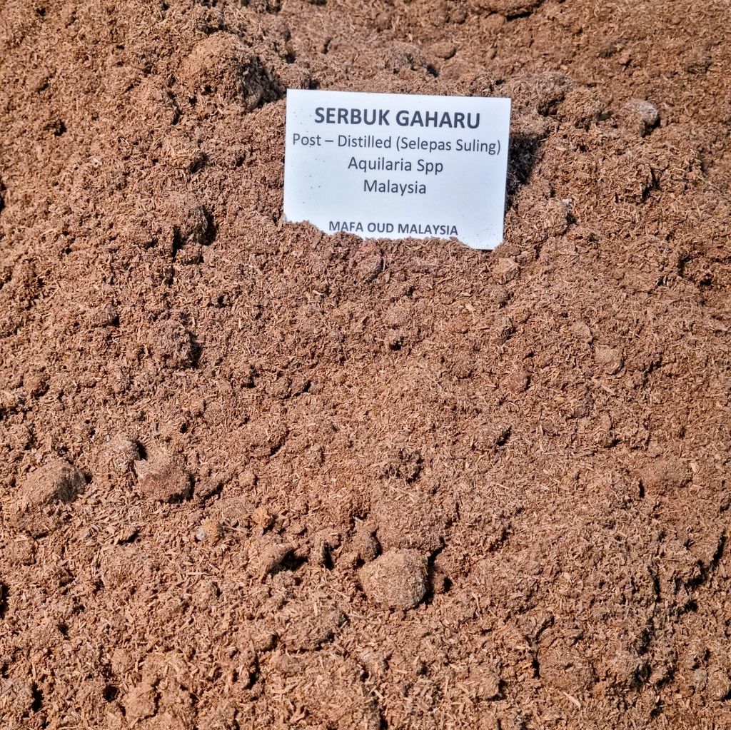 20240502_163729-1724404595468