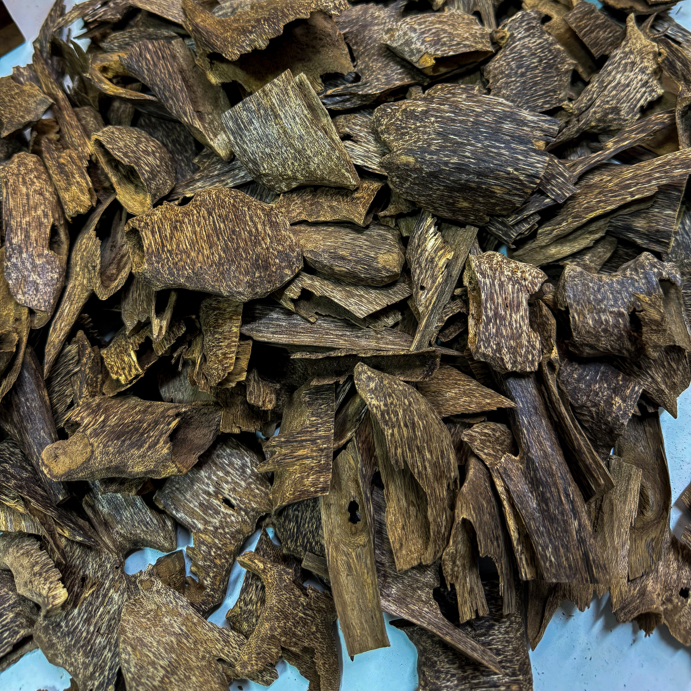 IMG_1693-1725047678761