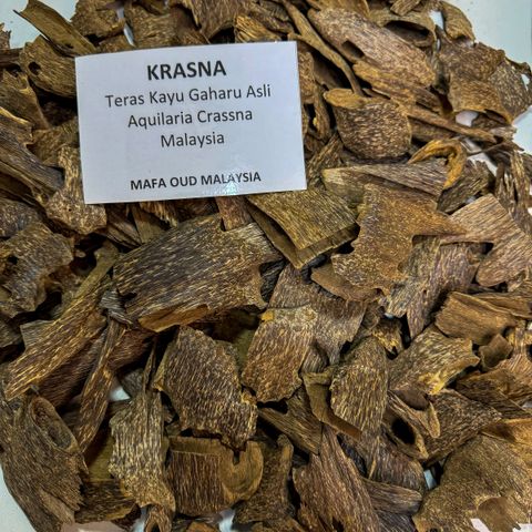 IMG_1689-1725047678769