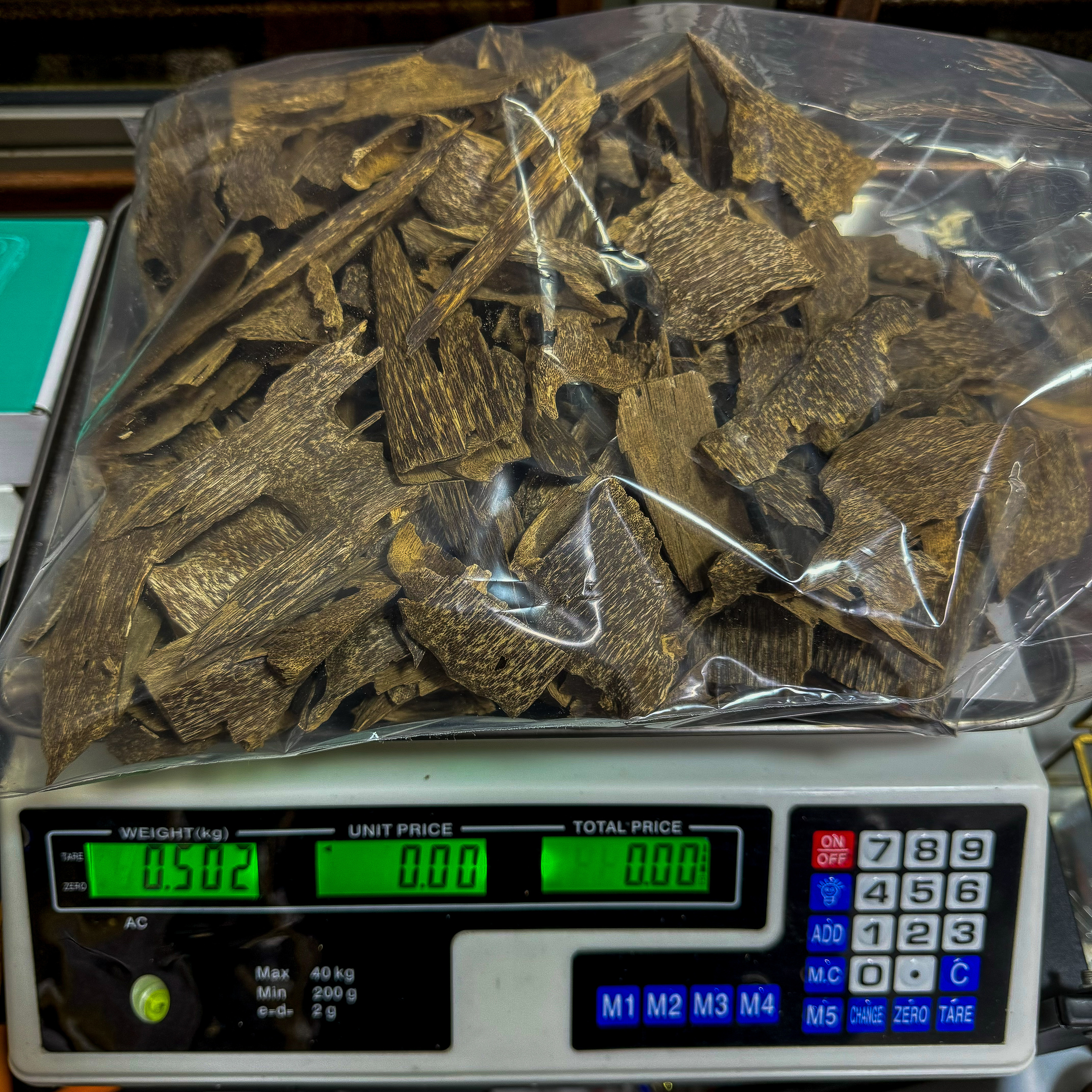 IMG_1427_jpg-1725047678772