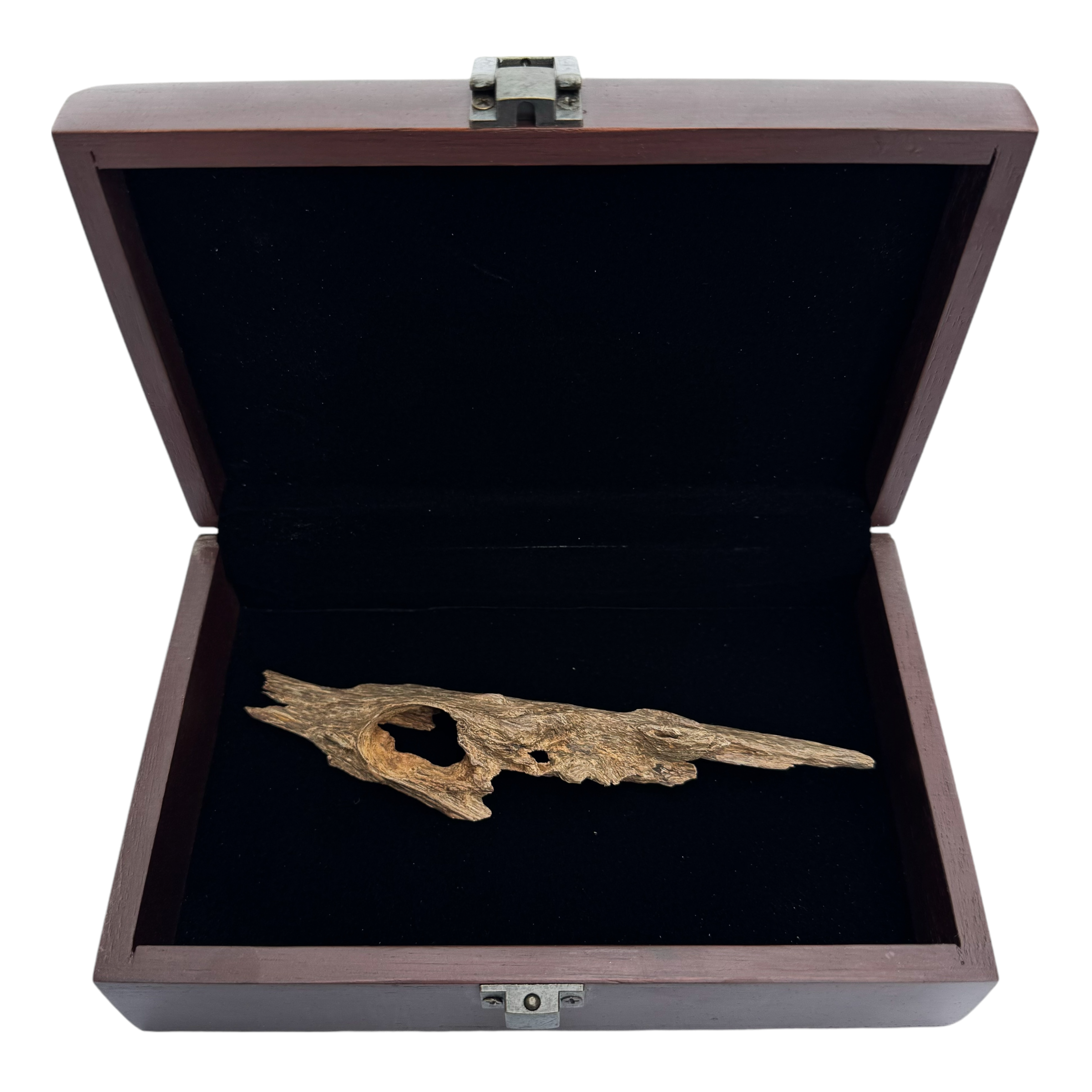 Photoroom_000_20241103_173011-1730626426468