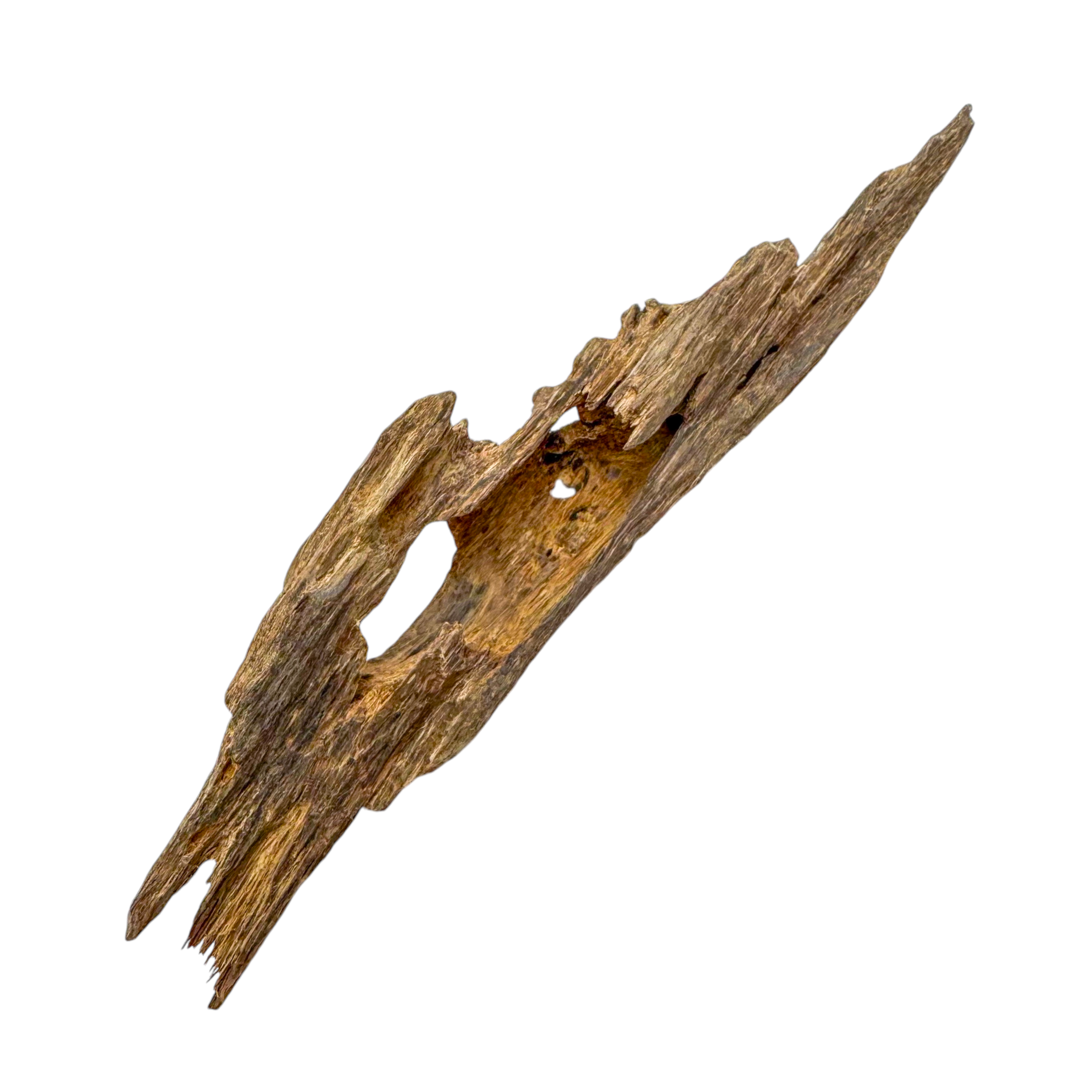 Photoroom_004_20241103_173011-1730626426457