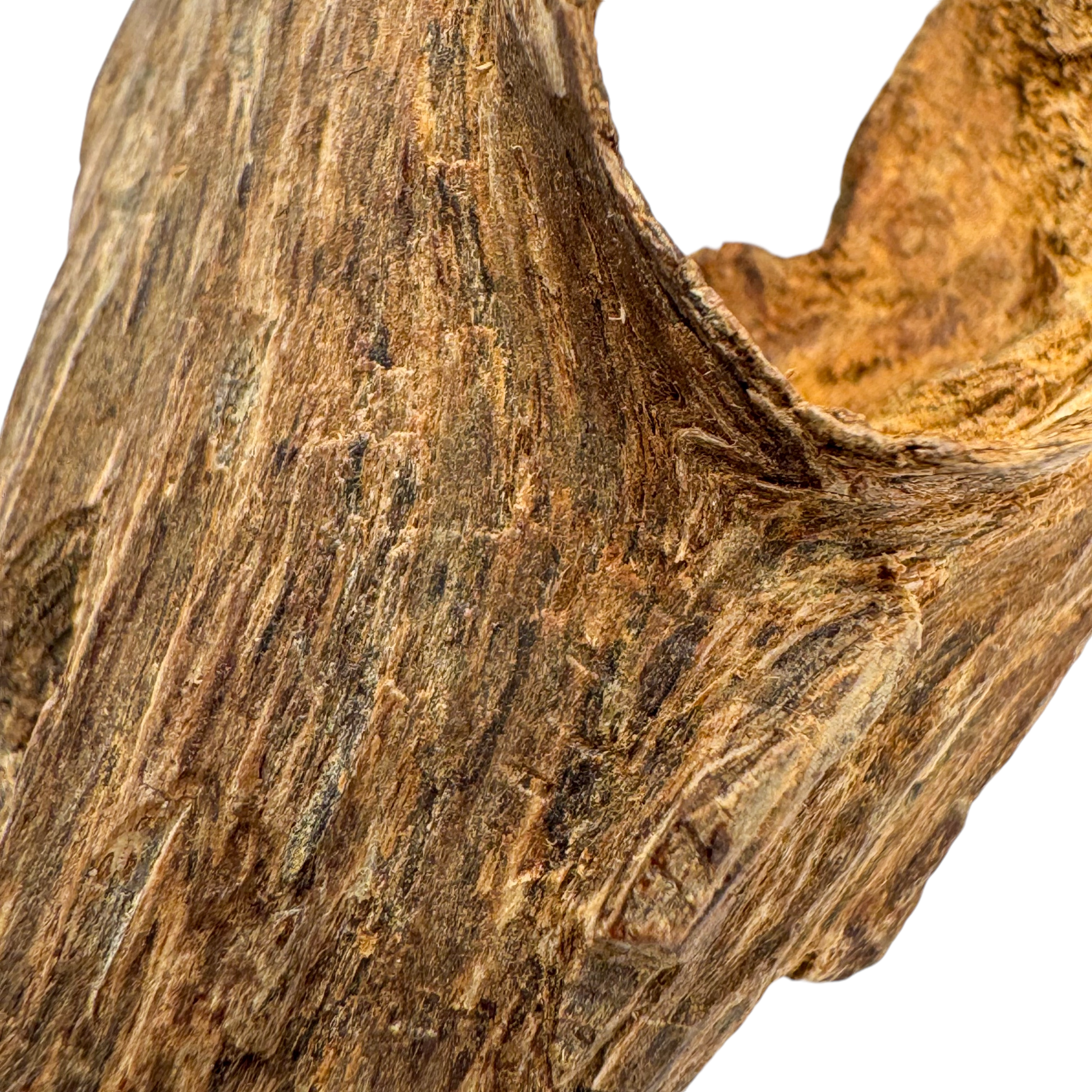 Photoroom_005_20241103_173011-1730626426483