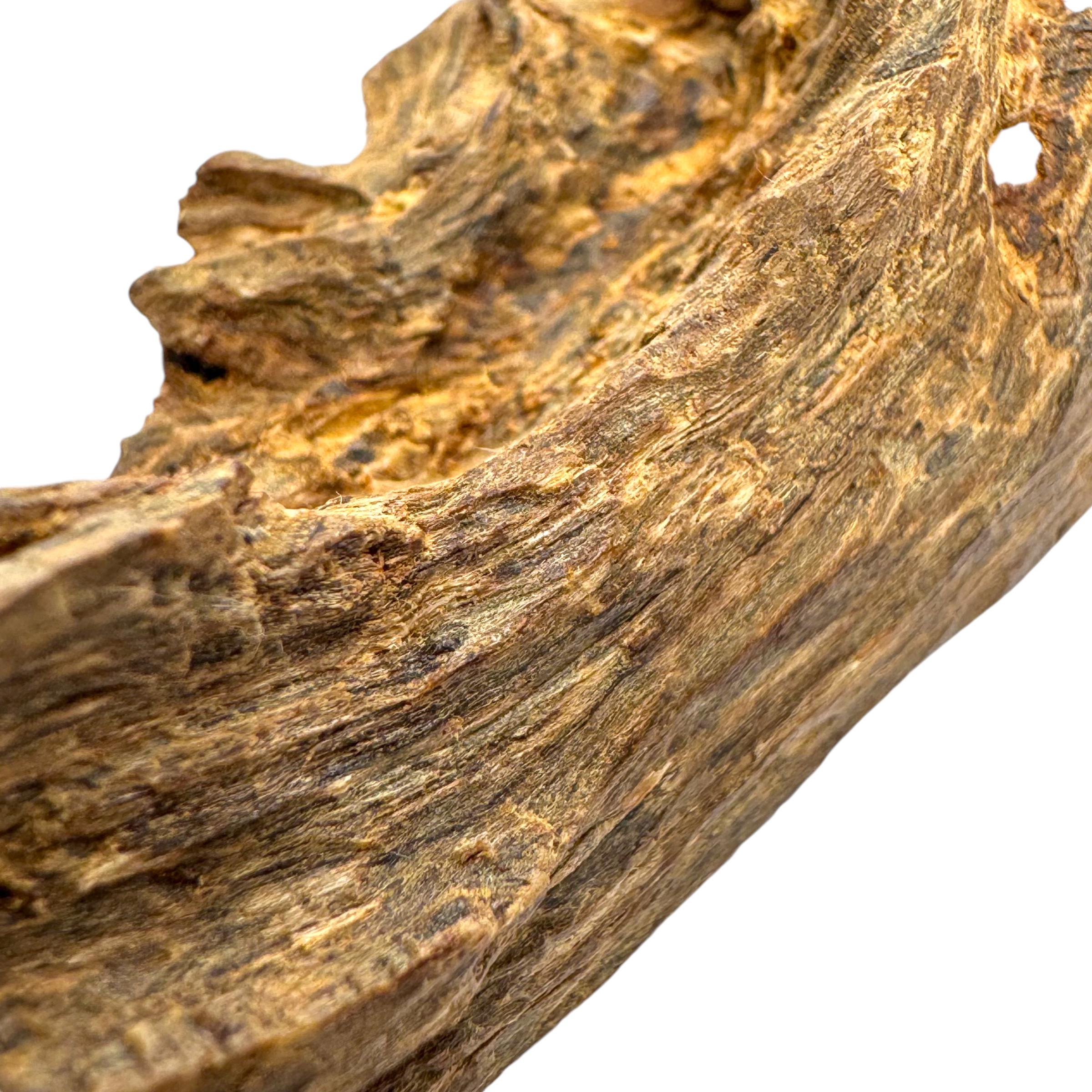 Photoroom_006_20241103_173011-1730626426465