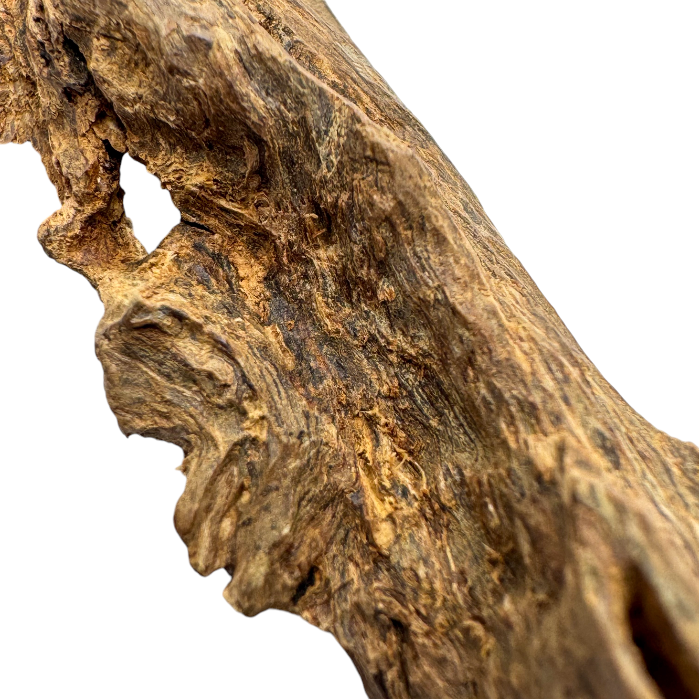 Photoroom_007_20241103_173011-1730626426495