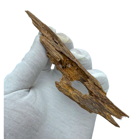 Photoroom_009_20241103_173011-1730626426481