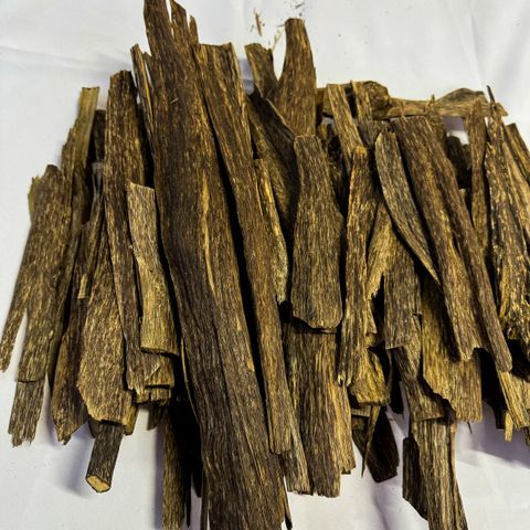 IMG_5182_jpg-1730636189659