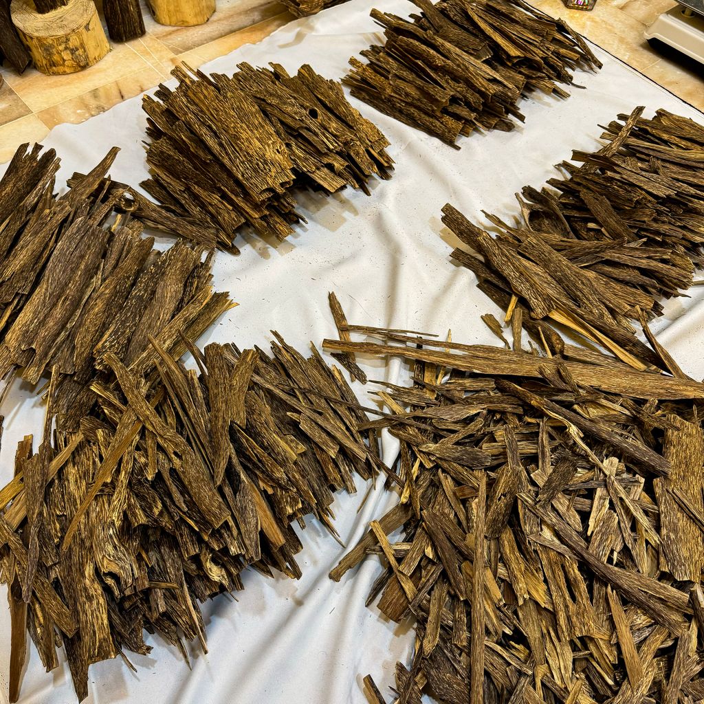 IMG_5185_jpg-1730636189647