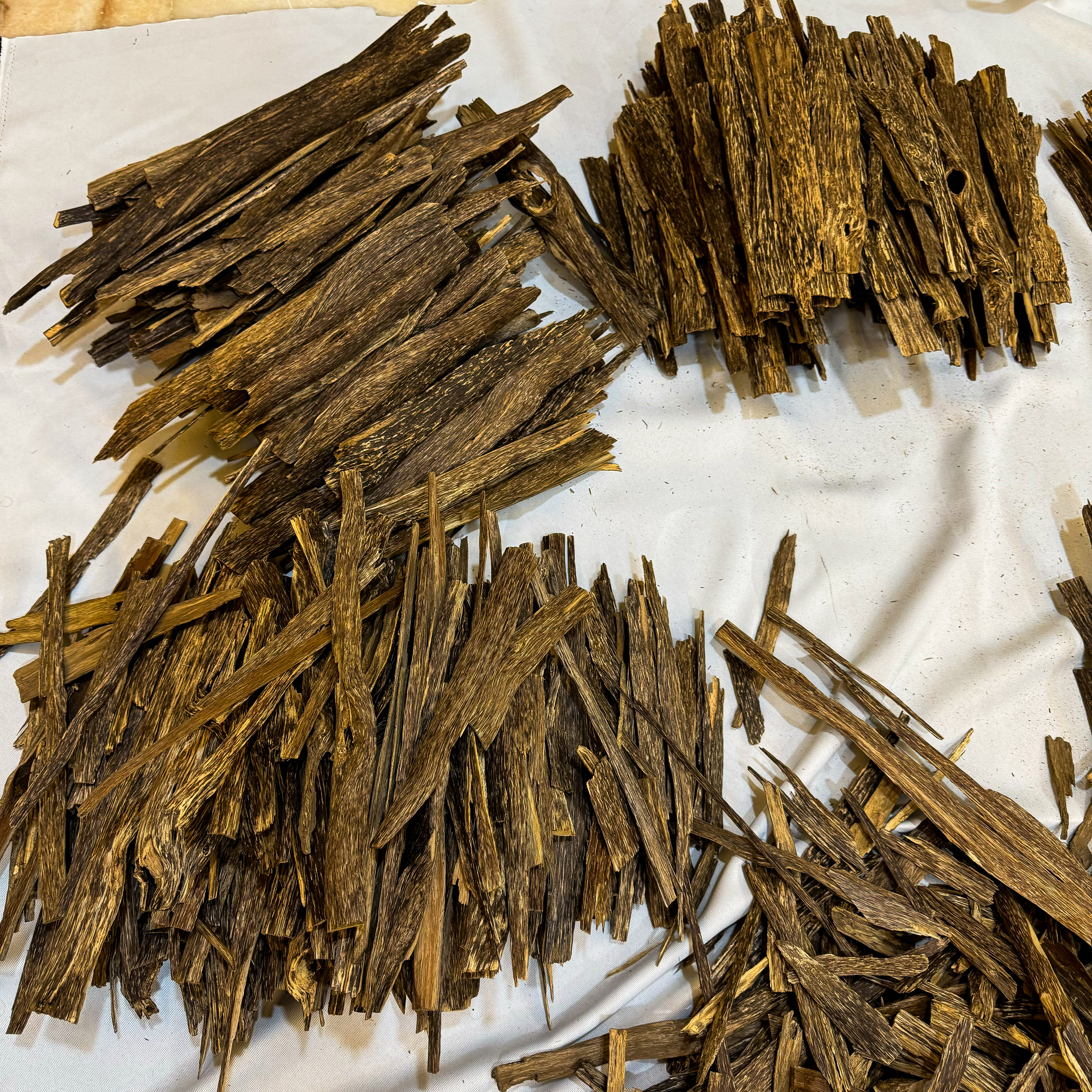 IMG_5186_jpg-1730636189652