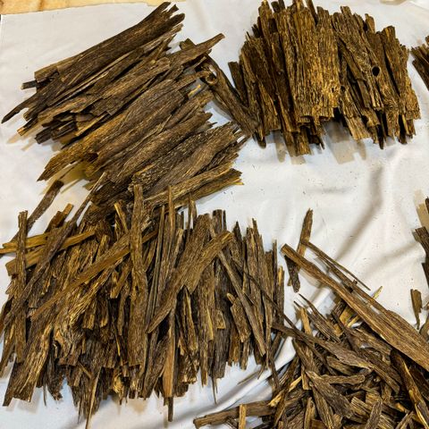 IMG_5186_jpg-1730636189652