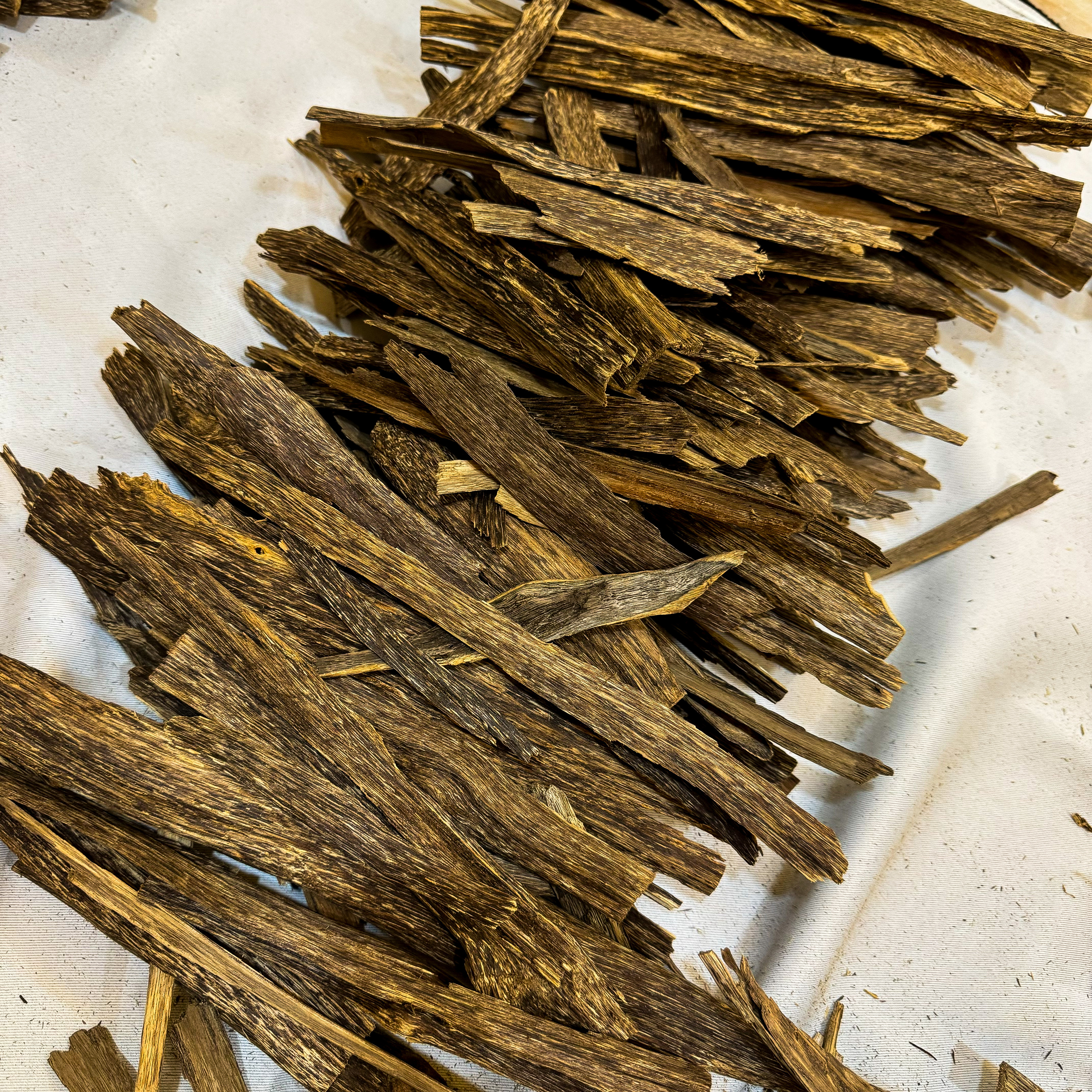 IMG_5187_jpg-1730636189646