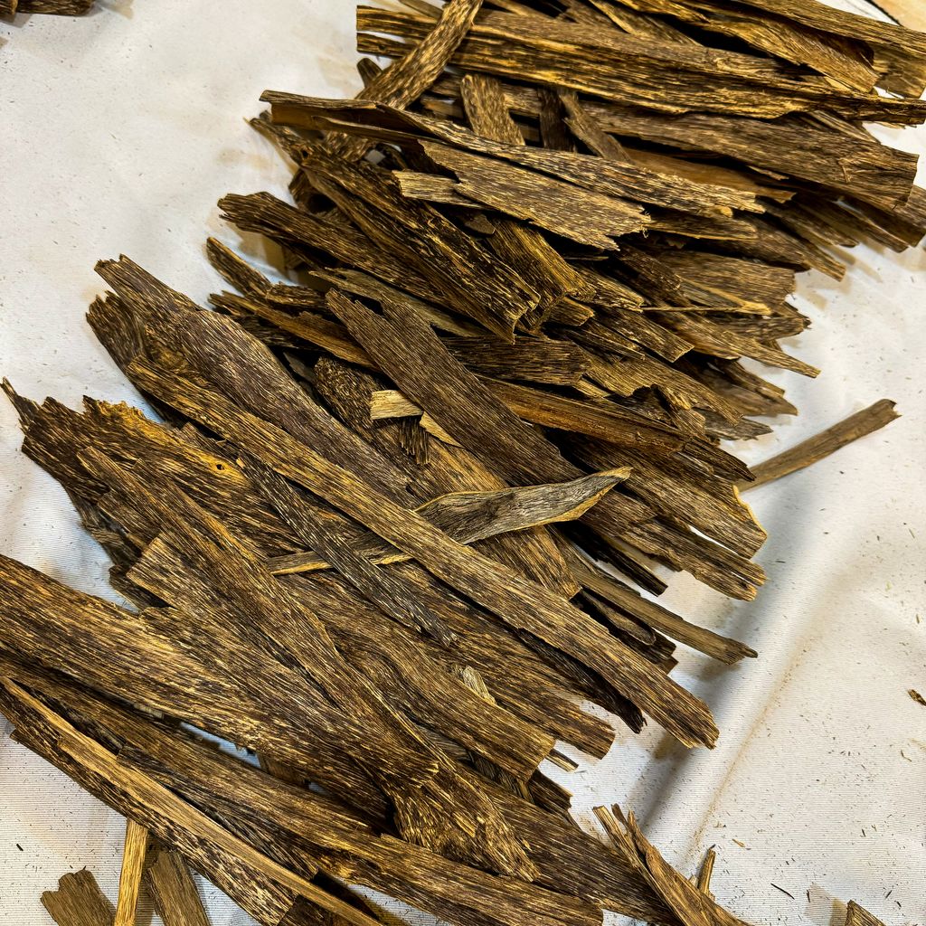 IMG_5187_jpg-1730636189646