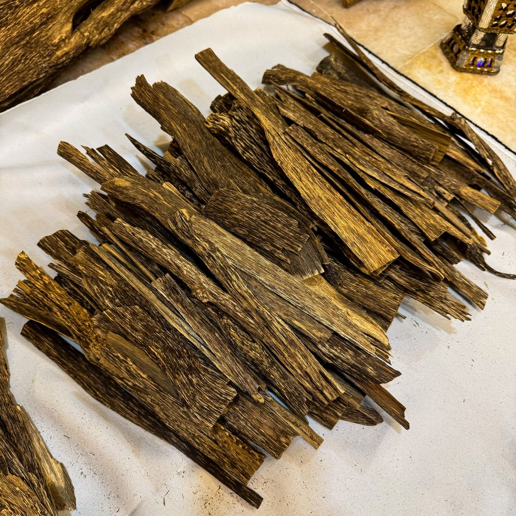 IMG_5188_jpg-1730636189648