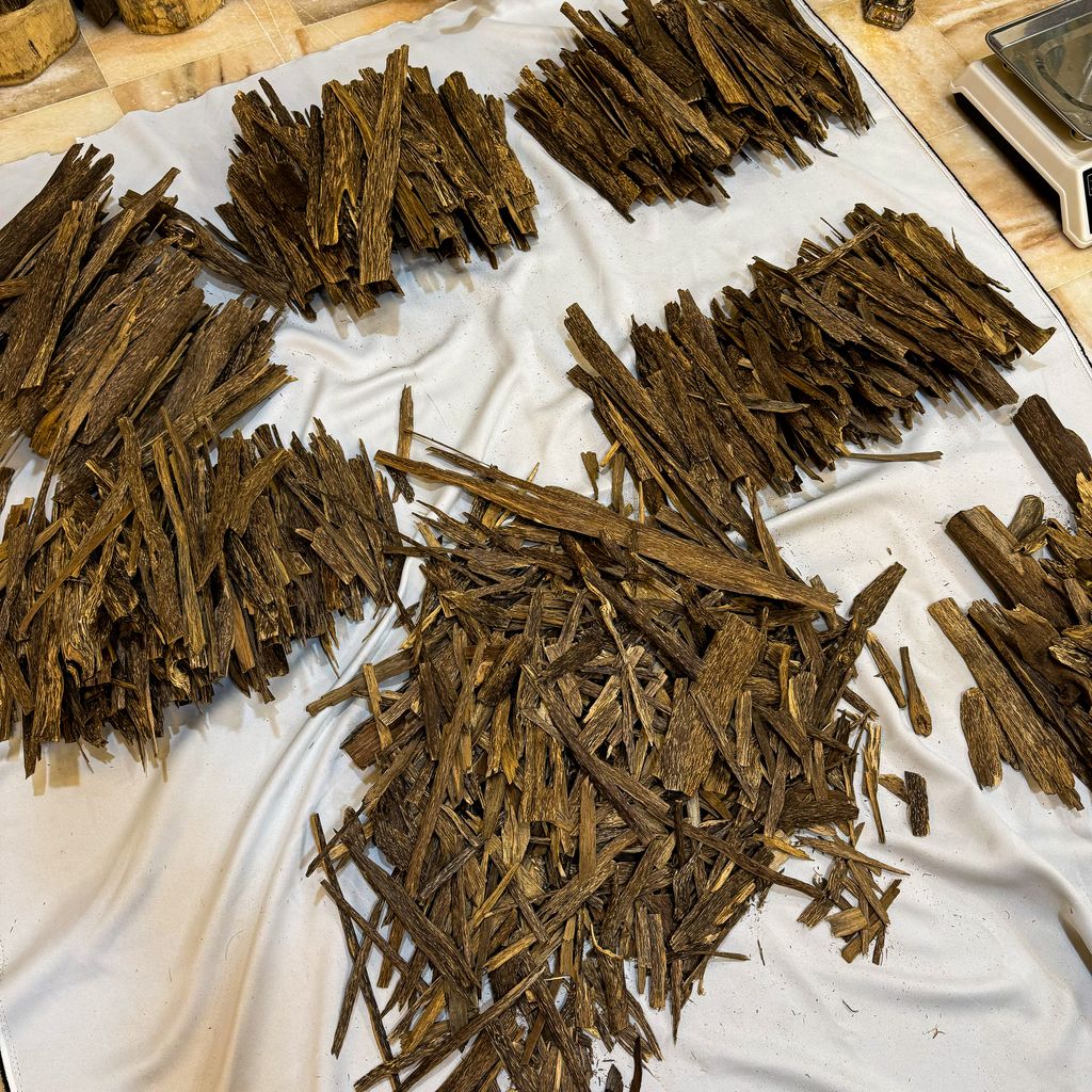 IMG_5191_jpg-1730636189649