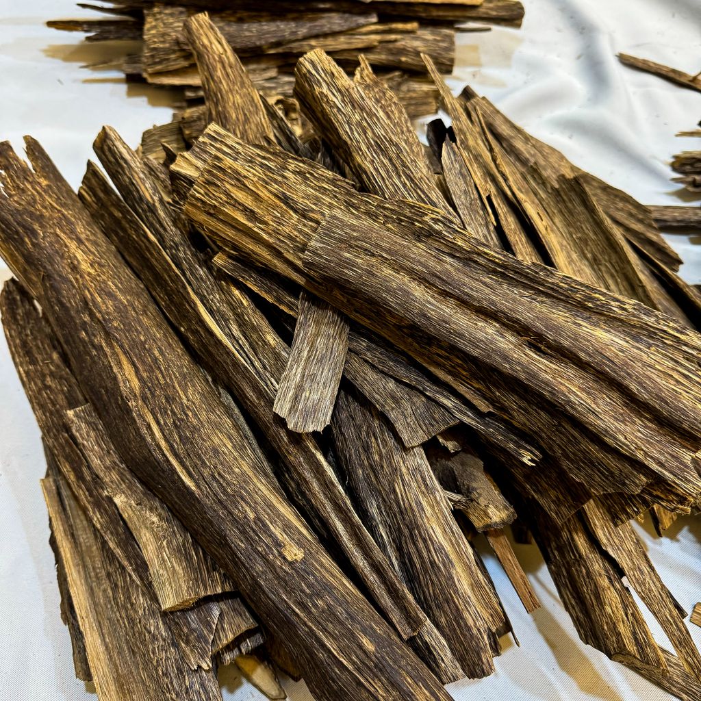 IMG_5192_jpg-1730636189662