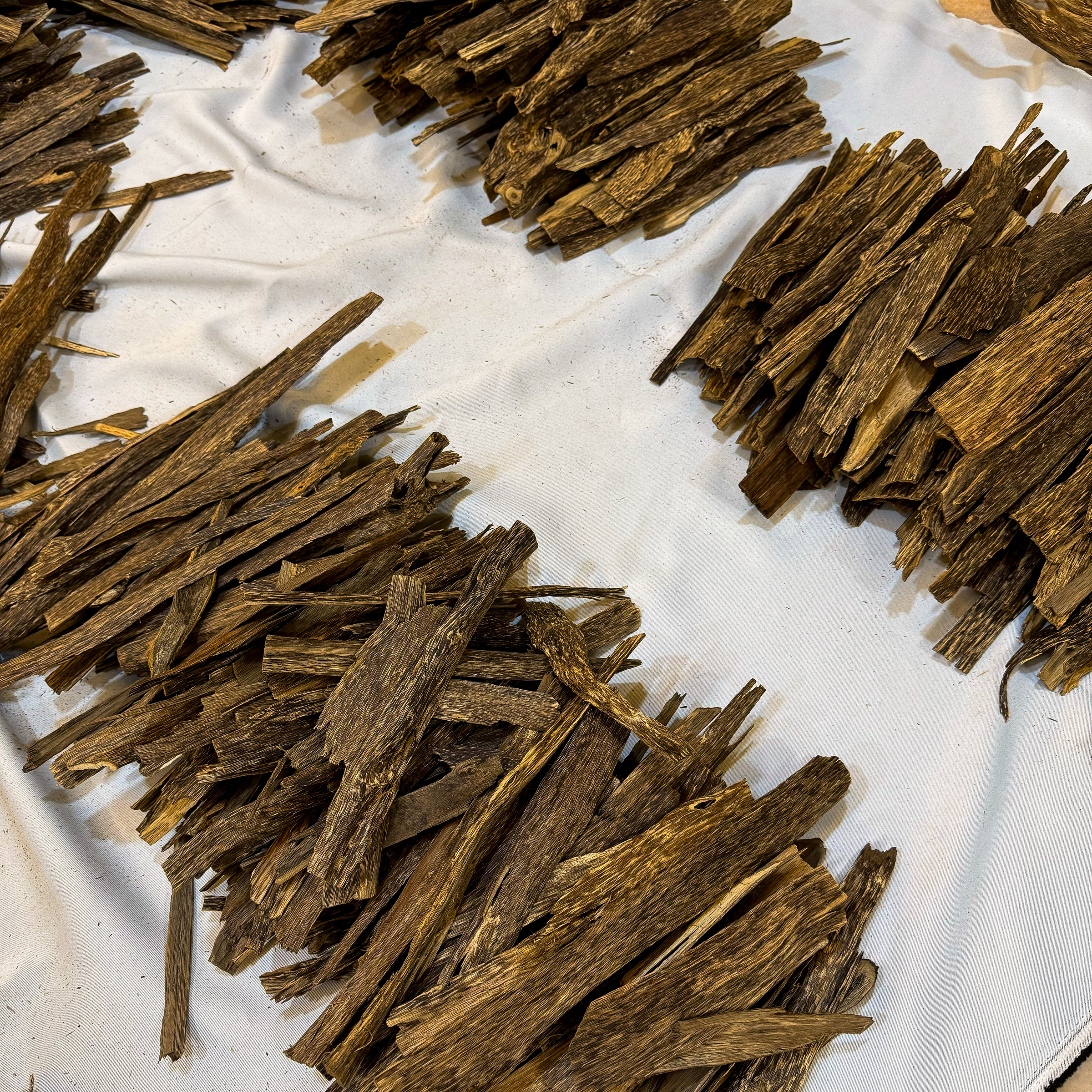 IMG_5194_jpg-1730636189674