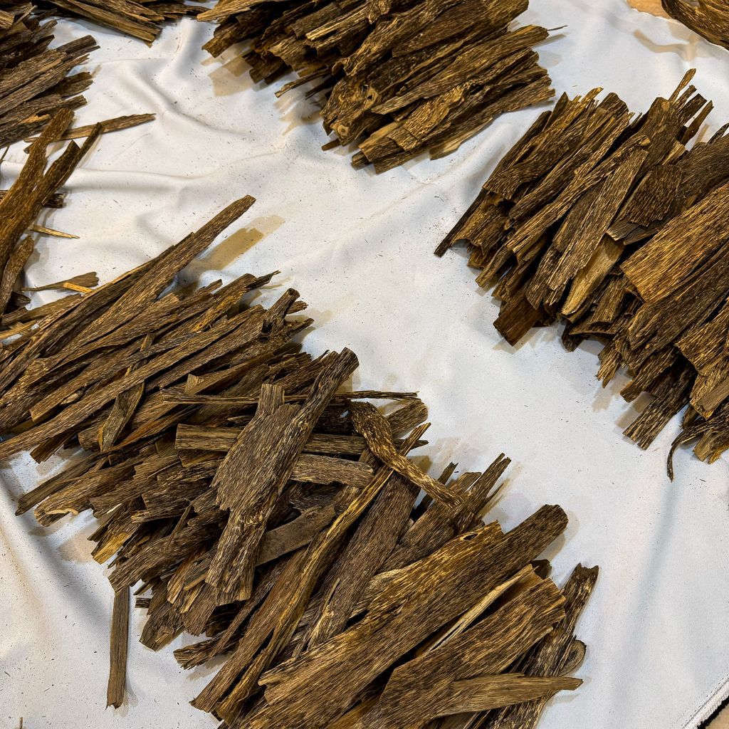 IMG_5194_jpg-1730636189674