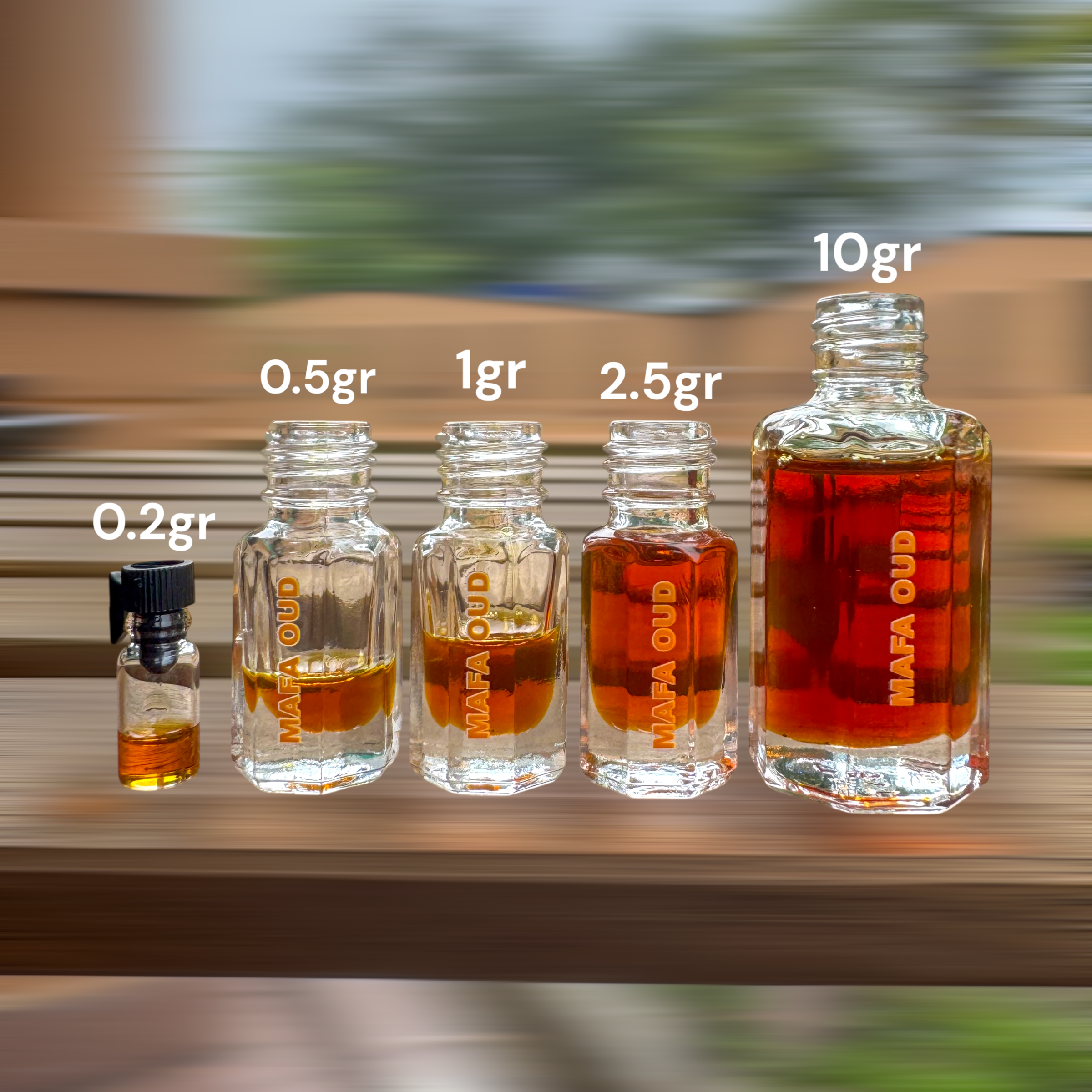 Photoroom_20241129_165344-1734417485238