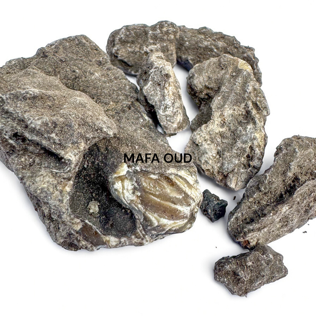 image_8DAF31E3-D70C-40EF-87F9-DC6FF09B2B0C_1741655501