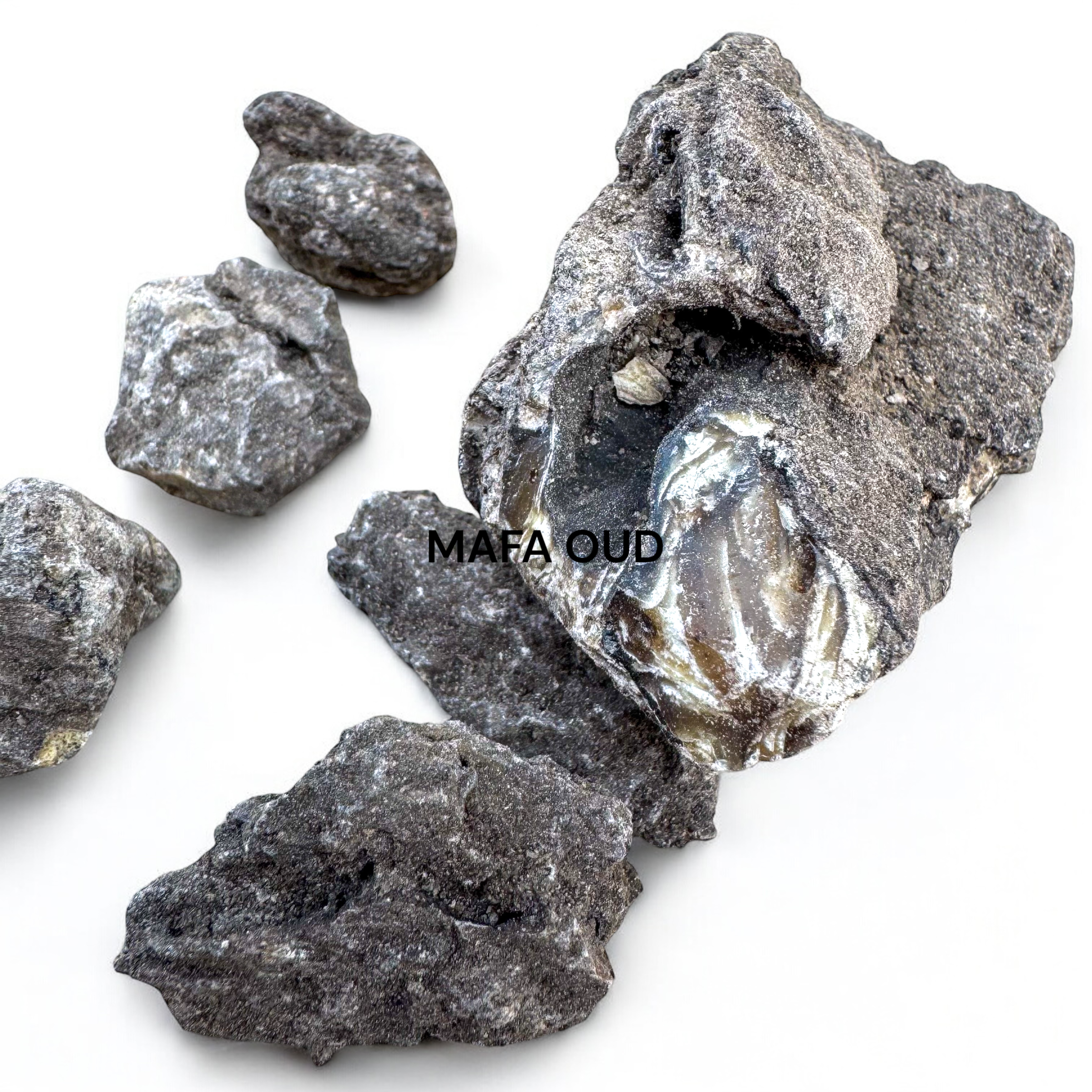 image_A43DB121-0371-44ED-8605-46EE348309BB_1741655501