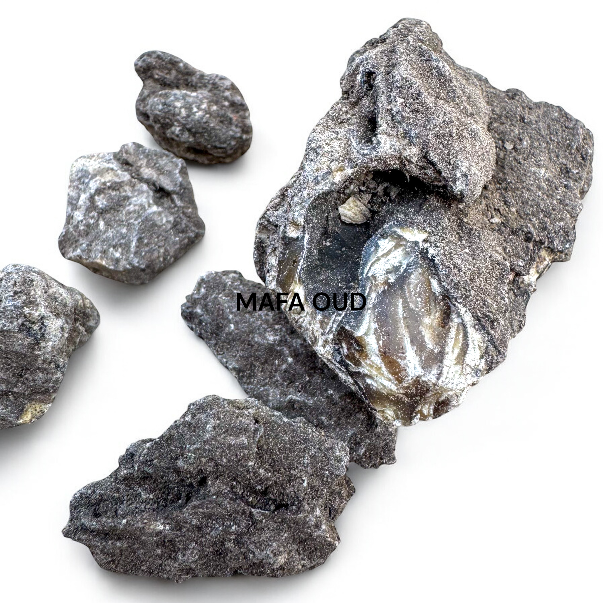 image_C27881BF-7B04-4183-840B-662878907AB7_1741655501