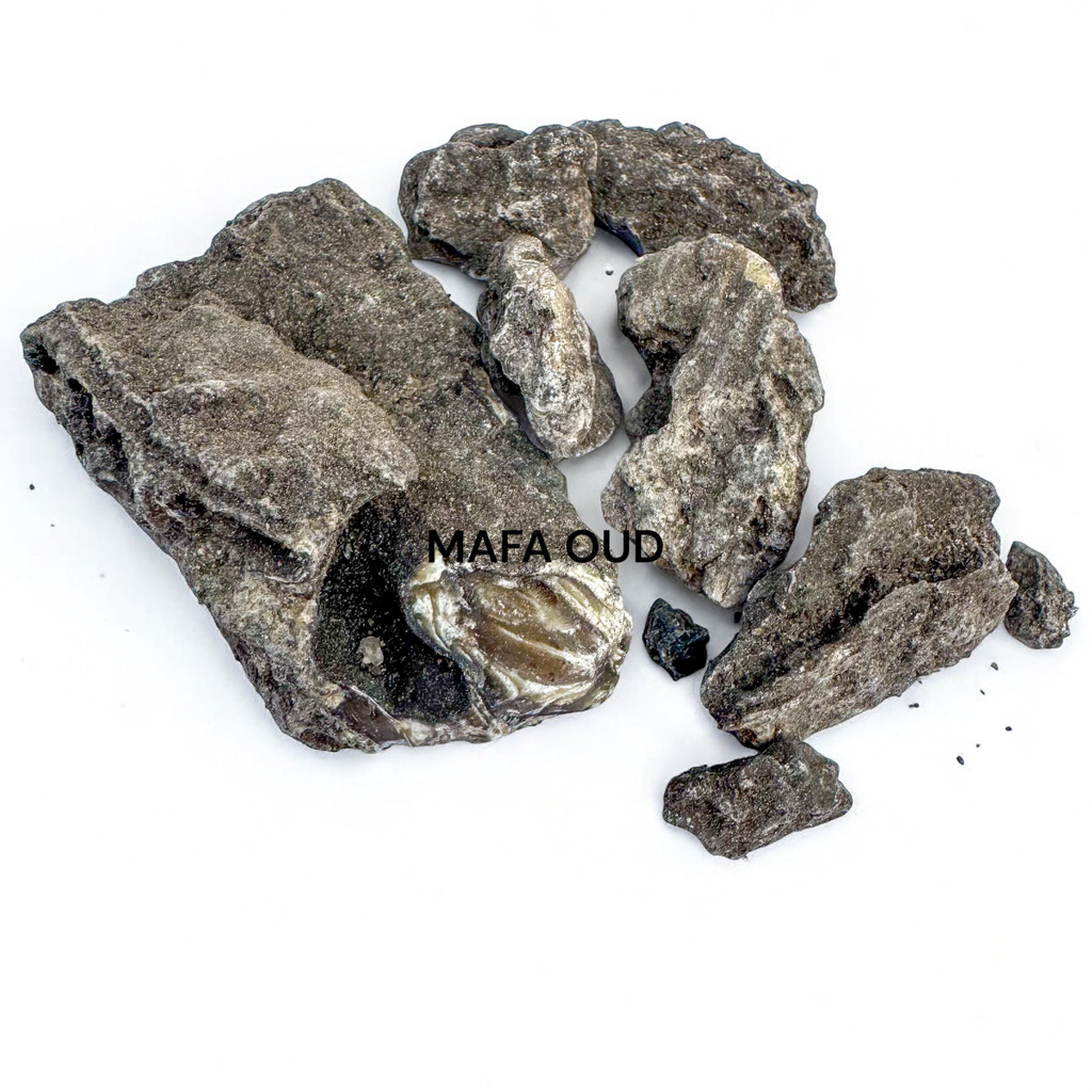 image_D49483A0-D791-4D9E-A101-96597E220453_1741655501