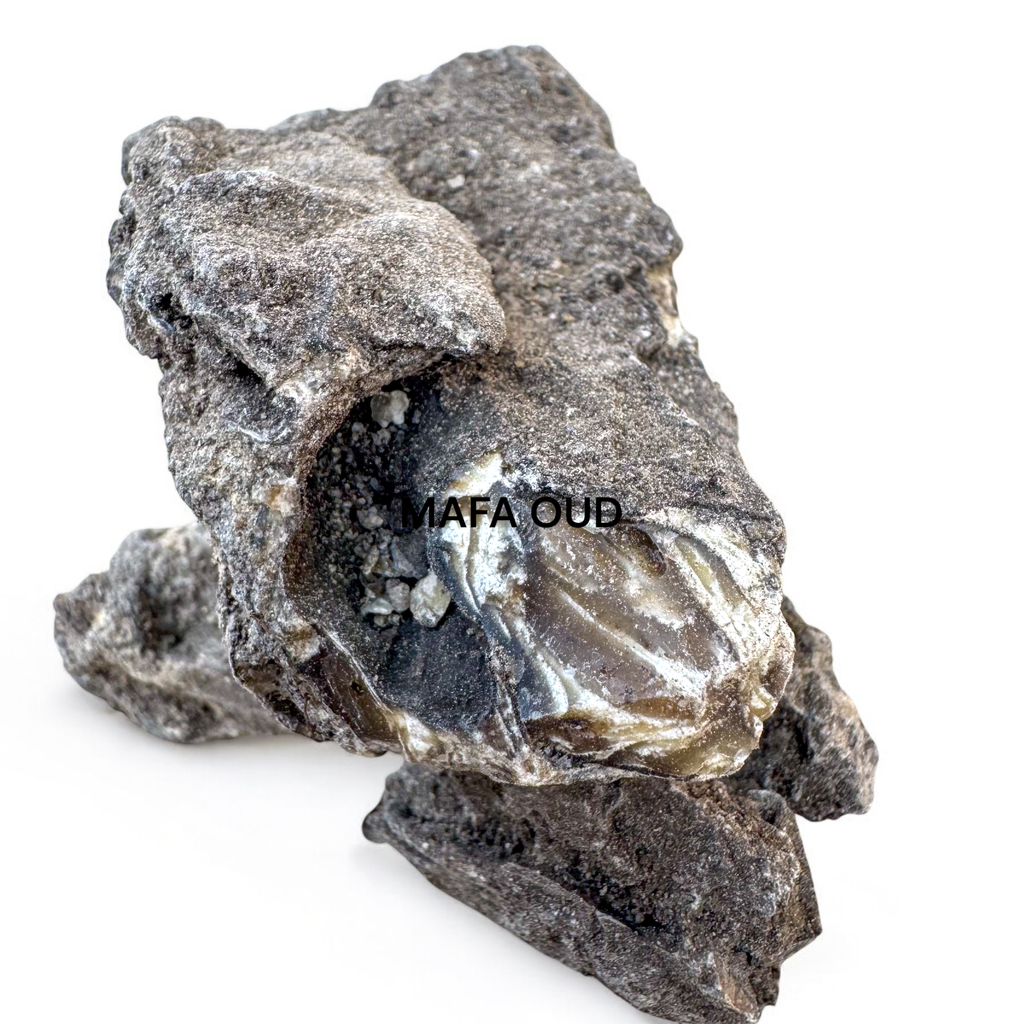 image_581B8D4A-FC46-4C14-BB3B-F26E23FE6635_1741655501