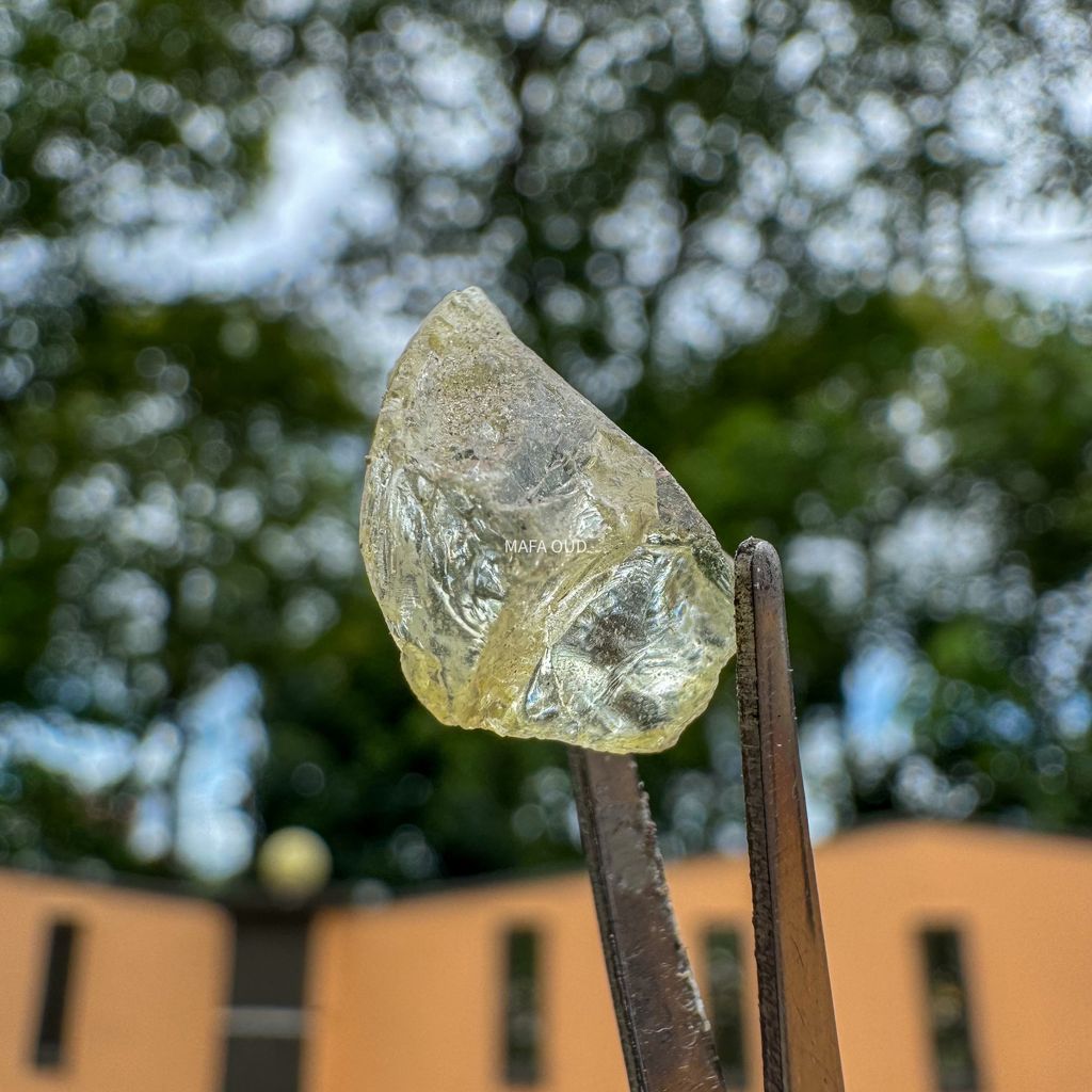 image_8AAA5F8C-123C-444C-9BC8-69C3F84E6954_1741671695