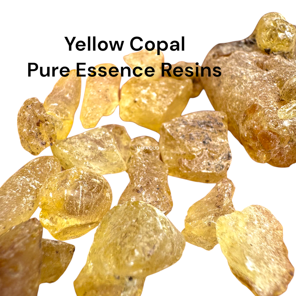 image_F9864012-486E-41A5-9AB8-0BD8105092DD_1741671695