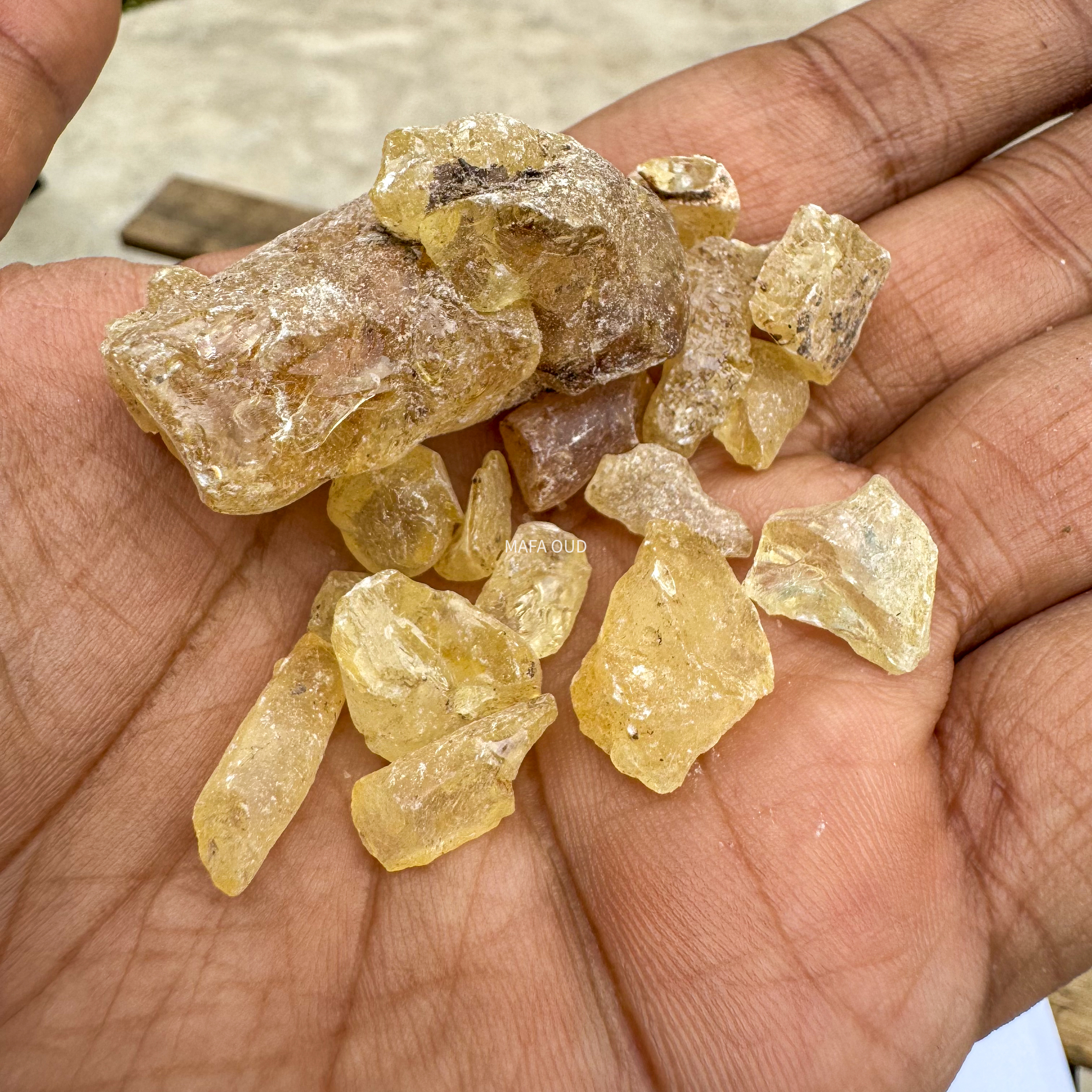 image_1879A523-56B0-420C-B420-E5DD8CB5B81D_1741671695