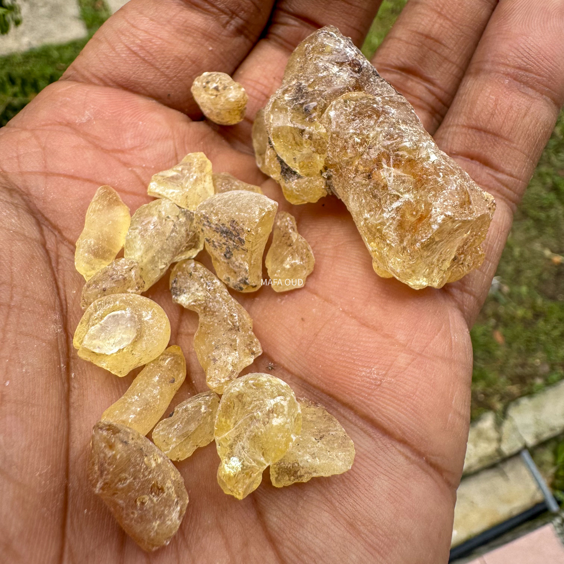 image_4139FF11-E8D1-424C-ACA2-1DC4F5B1F738_1741671695