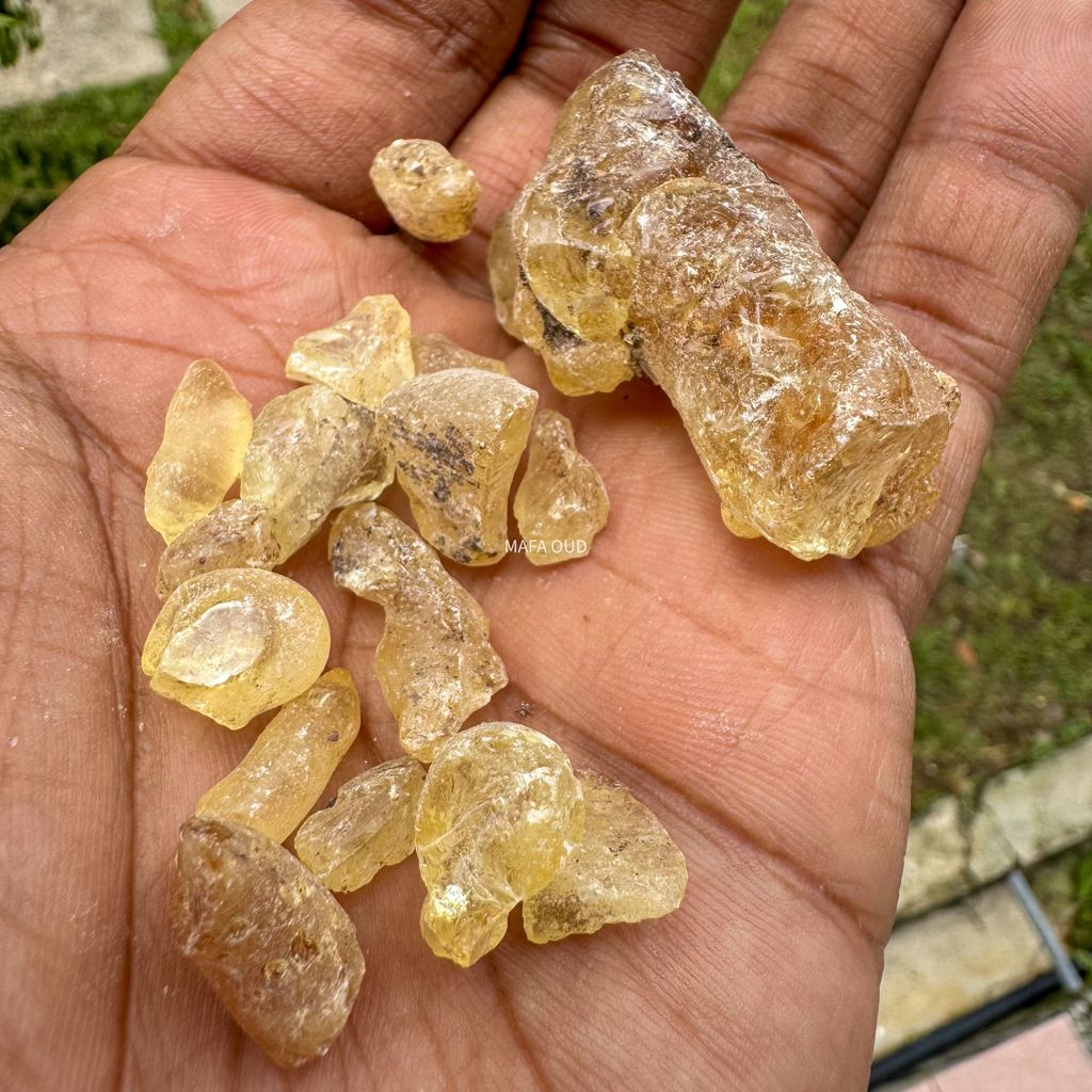 image_4139FF11-E8D1-424C-ACA2-1DC4F5B1F738_1741671695