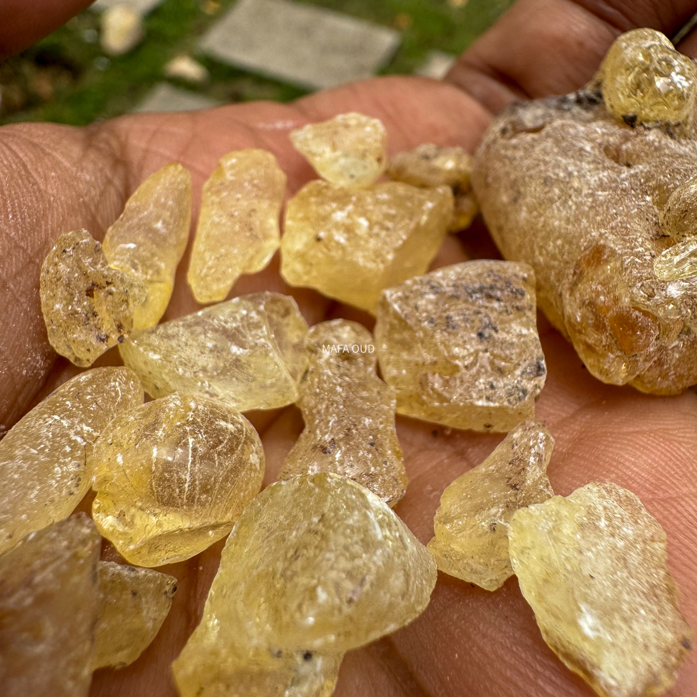 image_36301645-C5A1-4A2C-A271-FF15AC1D70B9_1741671695