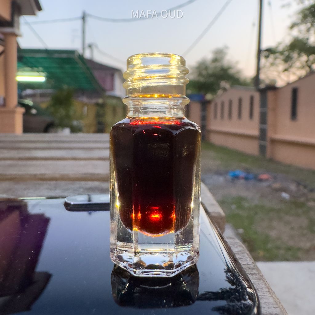 image_49DC55C1-7584-4881-8F61-4E890DB66E7B_1751369536