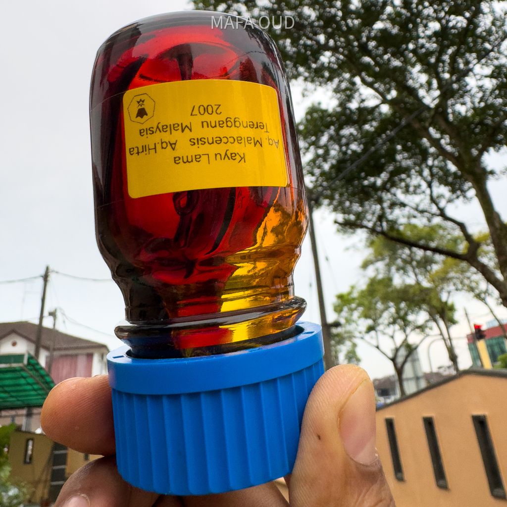 image_AFEC18E9-5229-4A42-A6D7-6E5033DD1FF7_1751454819