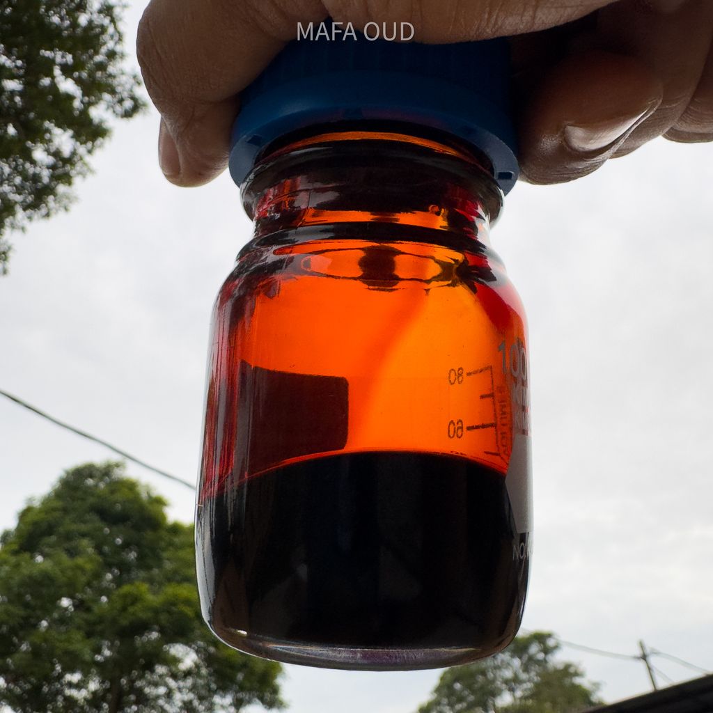 image_9129EE8E-A311-4E5F-80D1-0840800552C4_1751454819