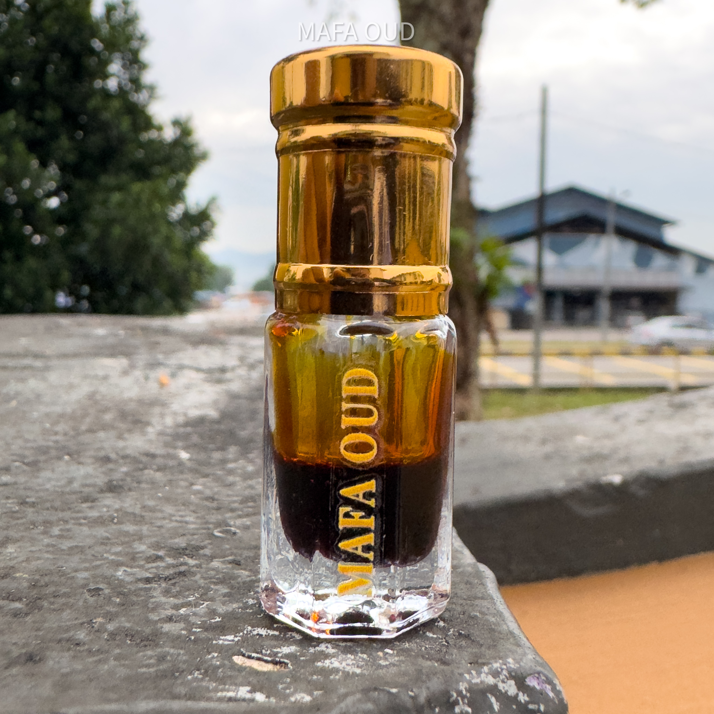 image_2F698E20-961C-4252-A818-FA7443B8E12F_1751454819