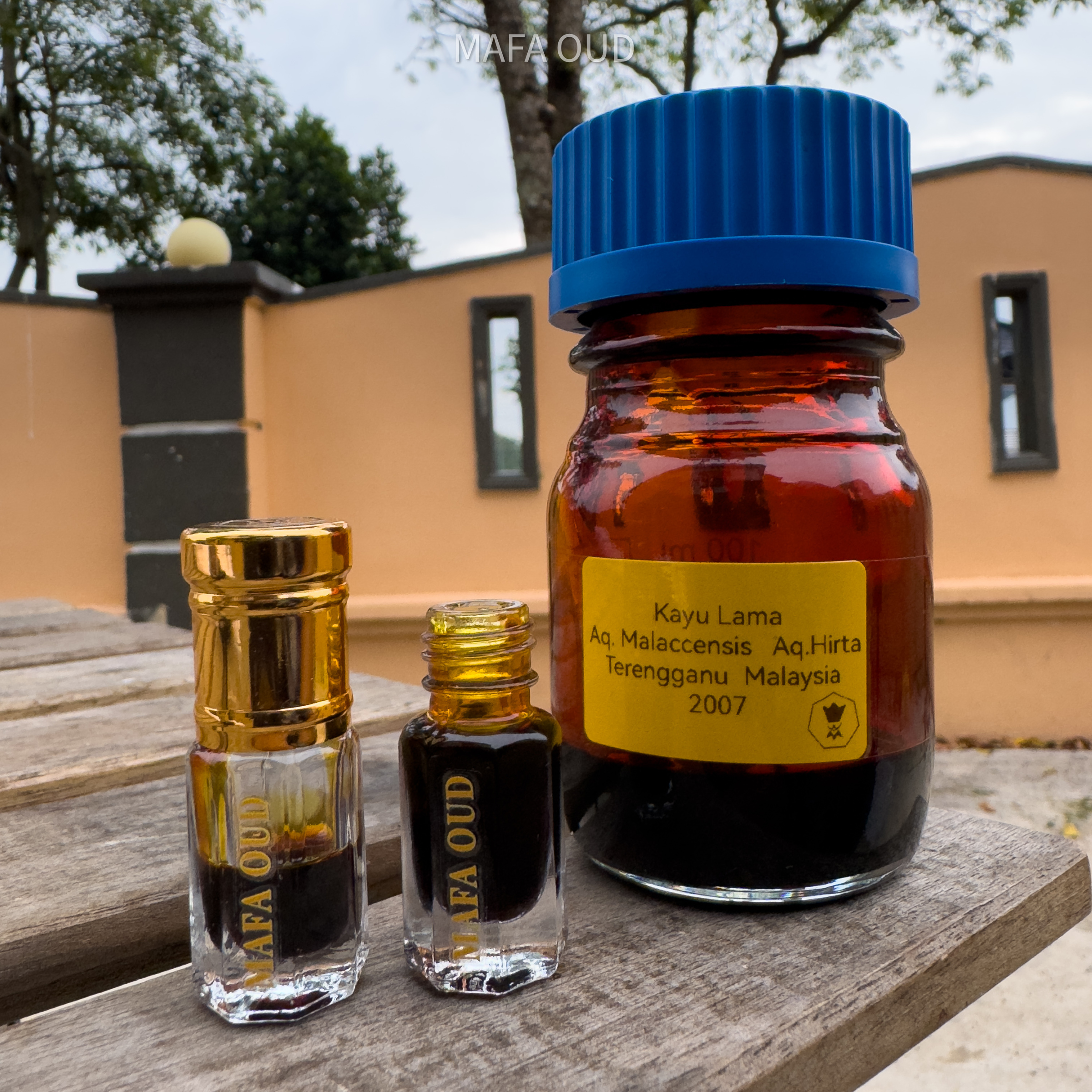 image_592031C8-9F57-4CFA-9CC2-2B3A09CFA8FE_1751455103