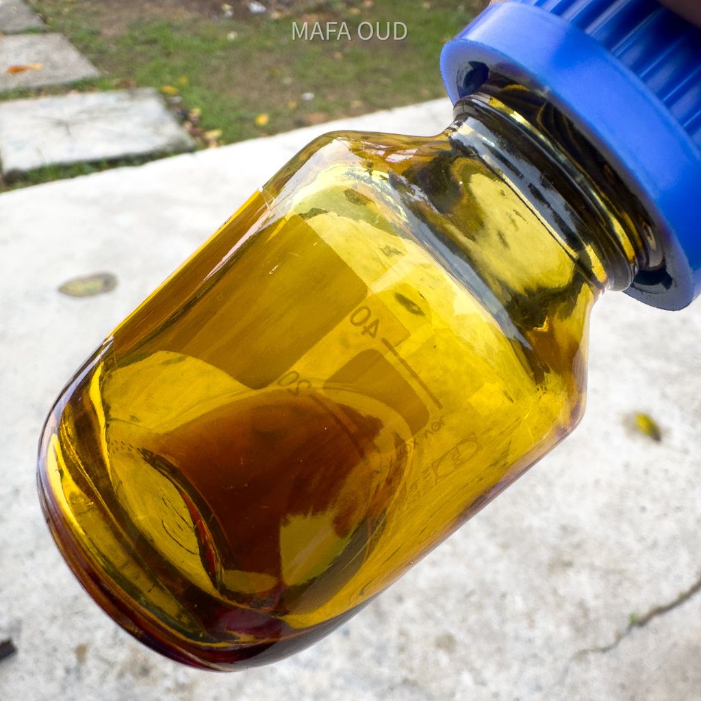 image_719C168A-6366-46D4-A69D-2F6C1C9B6781_1751531673