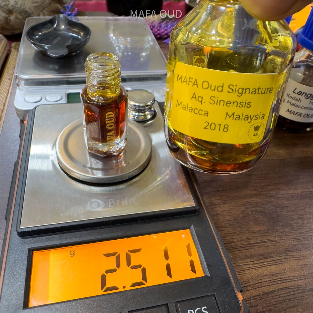 image_DA6867D5-FC08-45BF-ADE1-A7DD11055F1E_1751531673