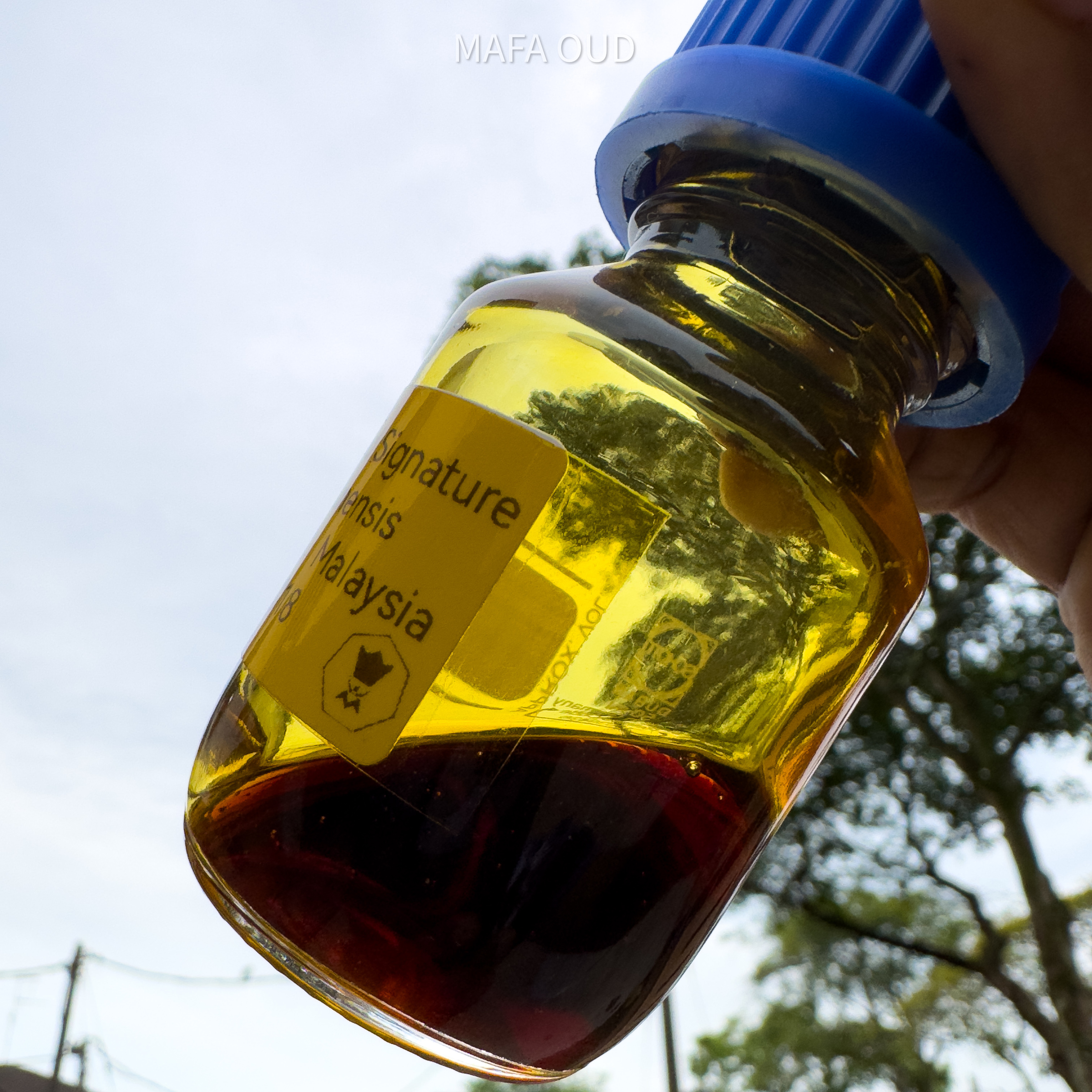 image_0DA1C494-E656-4791-9F99-8460309A3530_1751531673