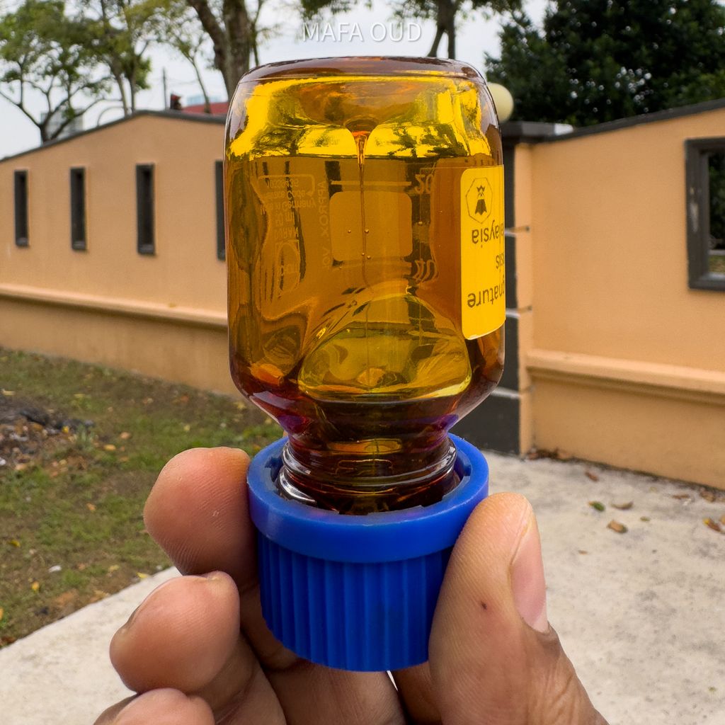 image_326B9303-65EC-45E9-89CF-34ACE25E5583_1751531673