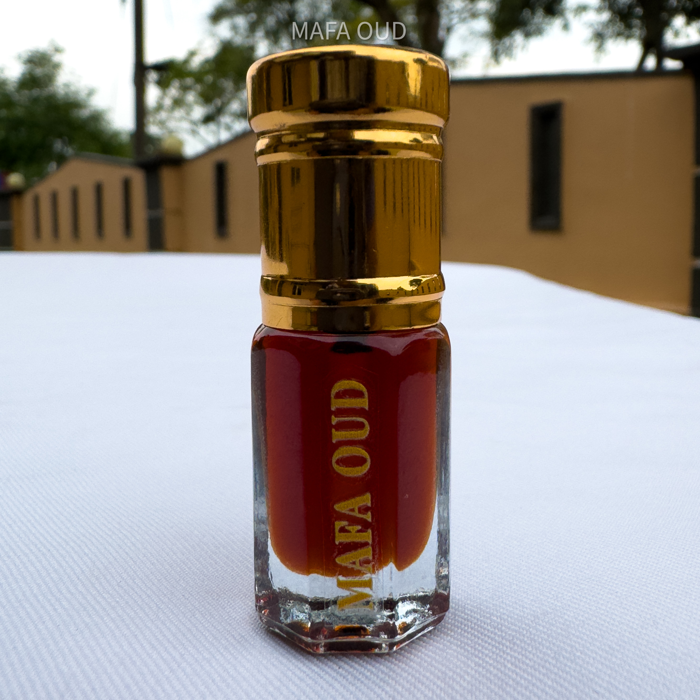 image_607F41BF-4F9E-4F04-B191-C486F2C52E65_1751531673